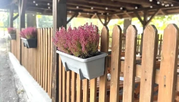 Bistro Squash u Čápa - Šluknov - 77 Šluknov