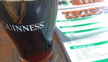 Irish Pub - J. Š. Baara 1554