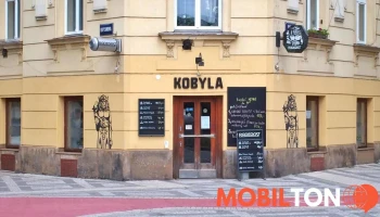Pivnice Kobyla - tankový Radegast - 1, Československé Armády 353