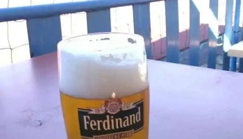Pivnice U Krokodýla - Topolová 1030
