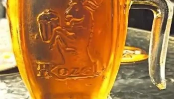 Pivnice - V. Nejedlého 1483