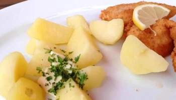 Restaurace a Penzion Pod Rozhlednou - Sněžník