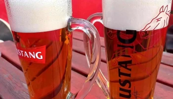 Restaurace Domeček - 741 01 Nový Jičín-Šenov U Nového Jičína