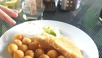 Restaurace Maják - Havlíčkova 273