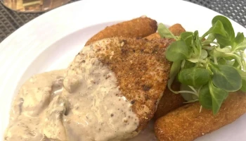 Restaurace Pod starou knihovnou - Kollárova 528/1