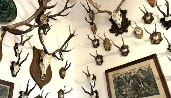Restaurace Stará myslivna - Konopiště