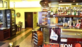 Restaurace U Lva - 530 02 Pardubice I