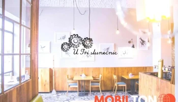Restaurace U Tří Slunečnic - Dolní Nám. 307