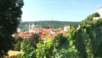 Svatováclavská Vinice - Praha 1-Hradčany