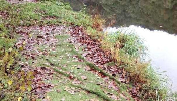 U Fotbalového hřiště - U Přívozu 779