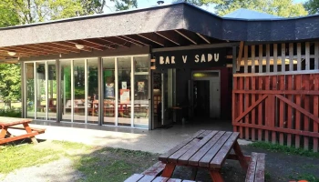 V Sadu - 01 Aš 1