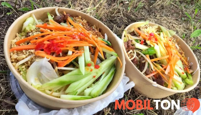 Ae Vietnamese Cuisine -  Vse - Veltruská 815