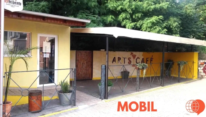 Arts Cafe Vse - Sokolská 483