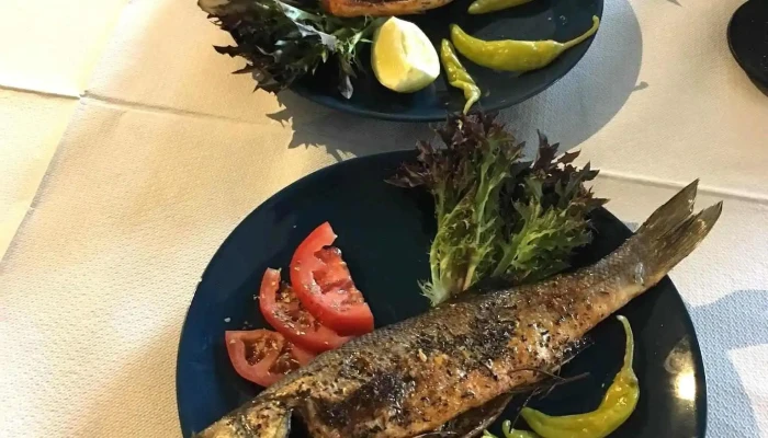 Athina -    Recka Restaurace Decin Od Vlastnika - Dlouhá Jízda
