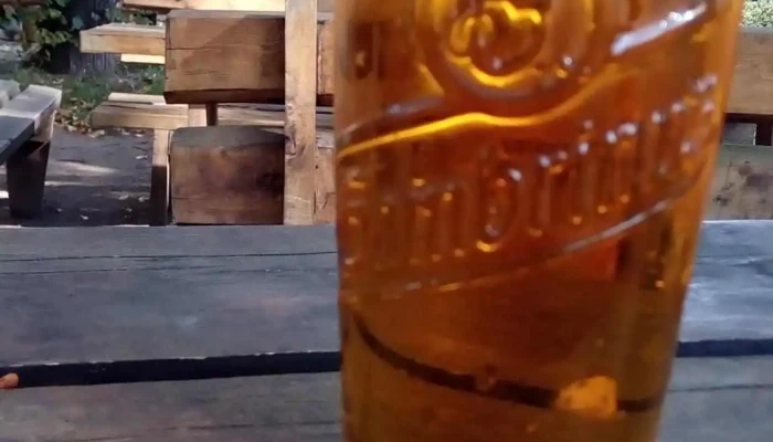 Bar Pod Lipou U Skopcaka Jidlo A Piti - Fibichova 674
