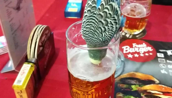 Bazantnice Jidlo A Piti - Kosmonautů 2326