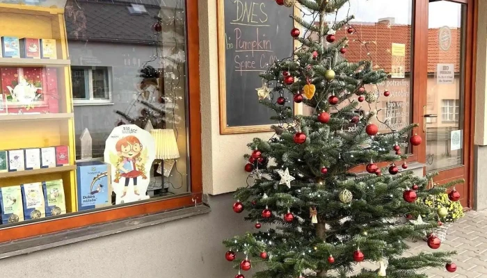 Bijo Jako Od Maminky Od Vlastnika - Komenského 1100