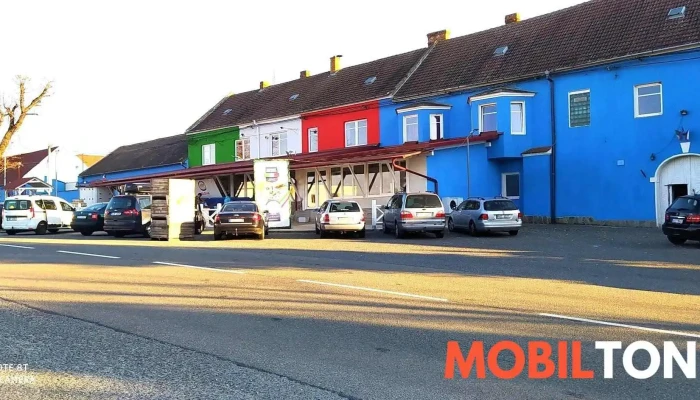 Bissolo Gabriele -  Vse - Suchá Loz