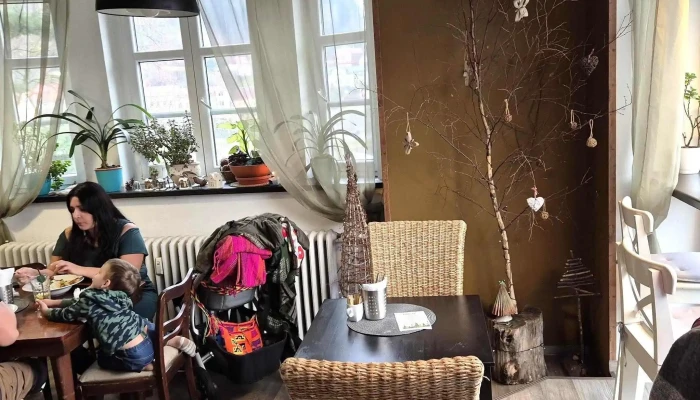 Bistro Les -  Restaurace - Tyršova 1089
