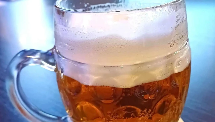 Bistro Motorest Strechov čislo - Trhový Štěpánov