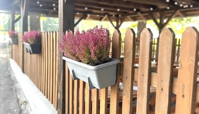 Bistro Squash u Čápa - Šluknov - 77 Šluknov
