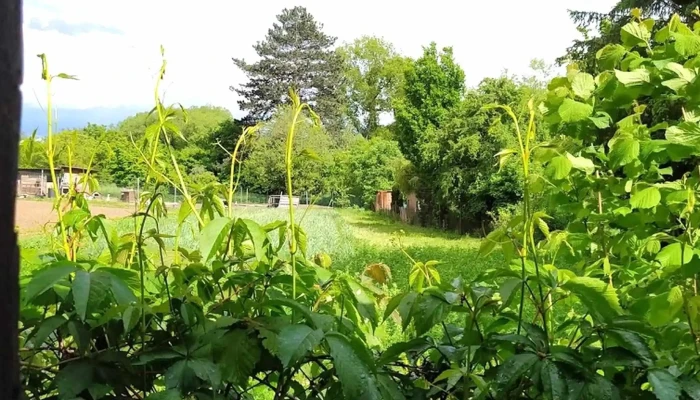 Bistro U Hastrmana -  Ceny - Husinec-řež