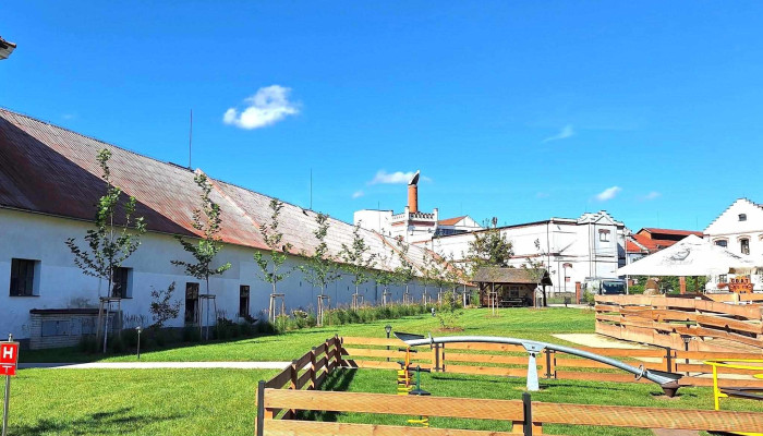 Bistro U Kozicek Adresa - Ringhofferova 1