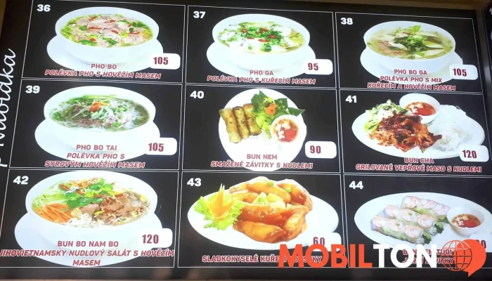 Bistro Viet Food -  Menu - 1, Nám. Práce 1099