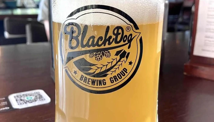 Blackdog Beroun -  Pivo - Česká 140
