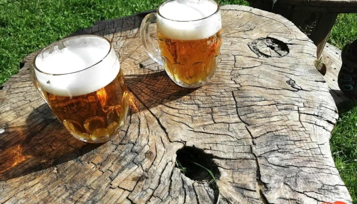 Brasserie Avion By Tajgrs Pivo - Bezručova 208