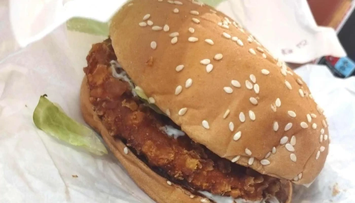 Burger King -  Slevy - Hradební 1