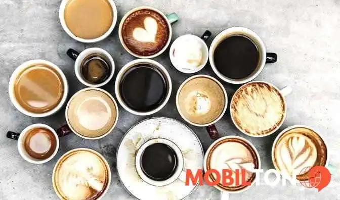 Cafe Bistro Patina House   Barevny Svet   Domov Kridovych Barev Jidlo A Piti - Náměstí F. X. Svobody 1055