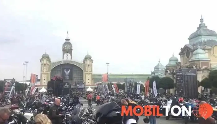 Cafe Creperie Strakaty Kralik Videa - Na Ostrově 214