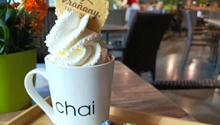 Cafe Na Vysluni Hledam - Vraňany 230