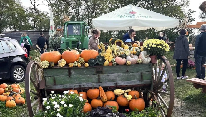 Cafe Na Vysluni Jak Se Dostat - Vraňany 230