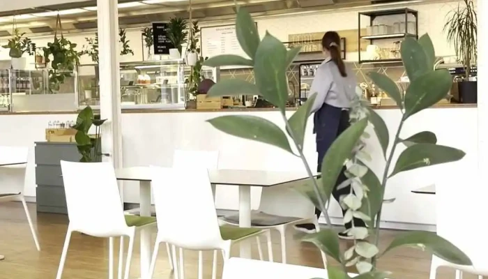 Cafe Restaurant Vaclav Videa - Tř. Václava Klementa 294