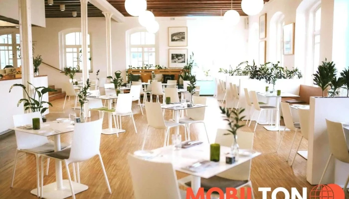 Cafe Restaurant Vaclav Vse - Tř. Václava Klementa 294