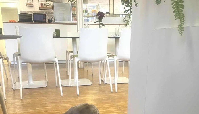 Cafe Restaurant Vaclav Webova Stranka - Tř. Václava Klementa 294