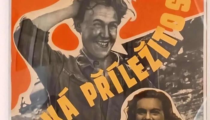 Cafe Starosta -  Menu - Pražská 119