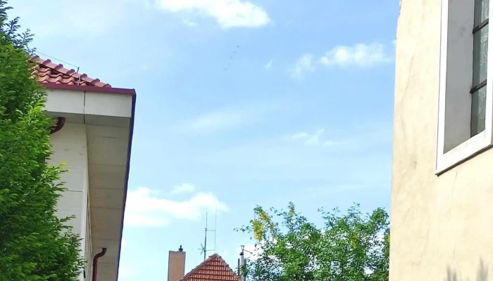 Cafe Zivel Kavarna - Ostruhova 58