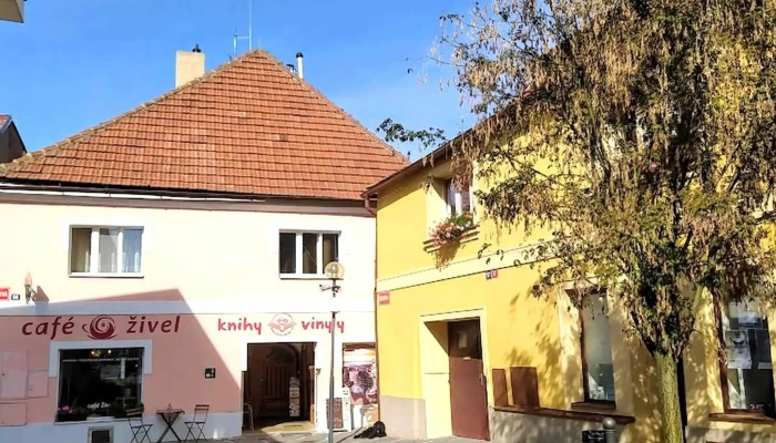 Cafe Zivel Webova Stranka - Ostruhova 58