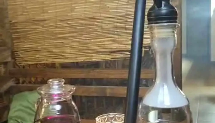 Cajovna U Spiciho Draka Videa - 178 Havlíčkova