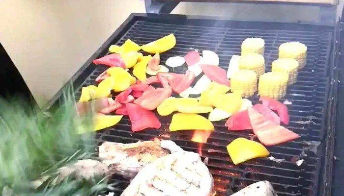 Catering Kladno -  Videa - Poděbradova 272 01