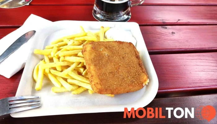 Cejch -    Rekreacni Areal S Restauraci Hranolky - Srbsko