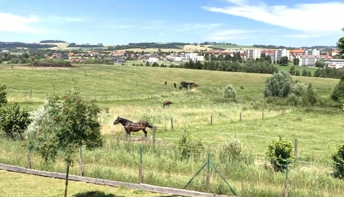 Centrum Eden -  Blizko Mě - Nový Dvůr 318