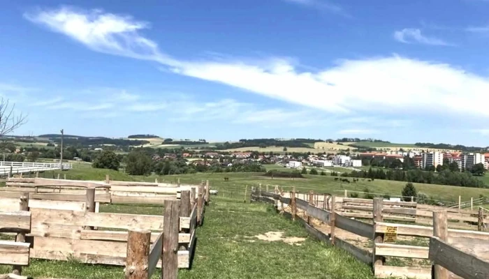 Centrum Eden -  Slevy - Nový Dvůr 318