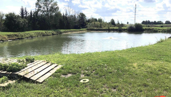Cerhenicke Rybniky Vse - Czech Republic