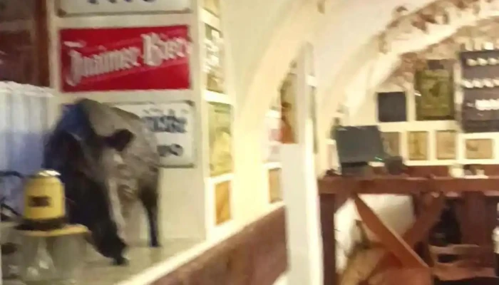 Cernokostelecky Pivovar Videa - Českobrodská 17