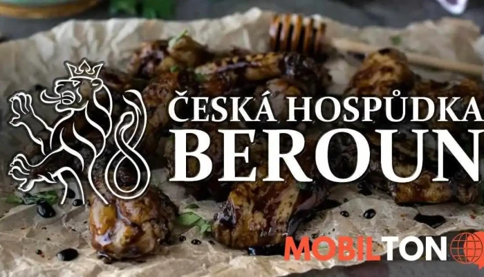 Ceska Hospudka Beroun Od Vlastnika - Město
