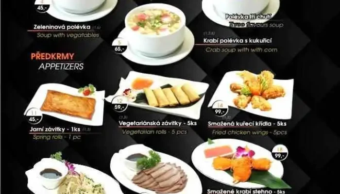 Cinska Restaurace Bamboo Garden Menu - Mělnická 232